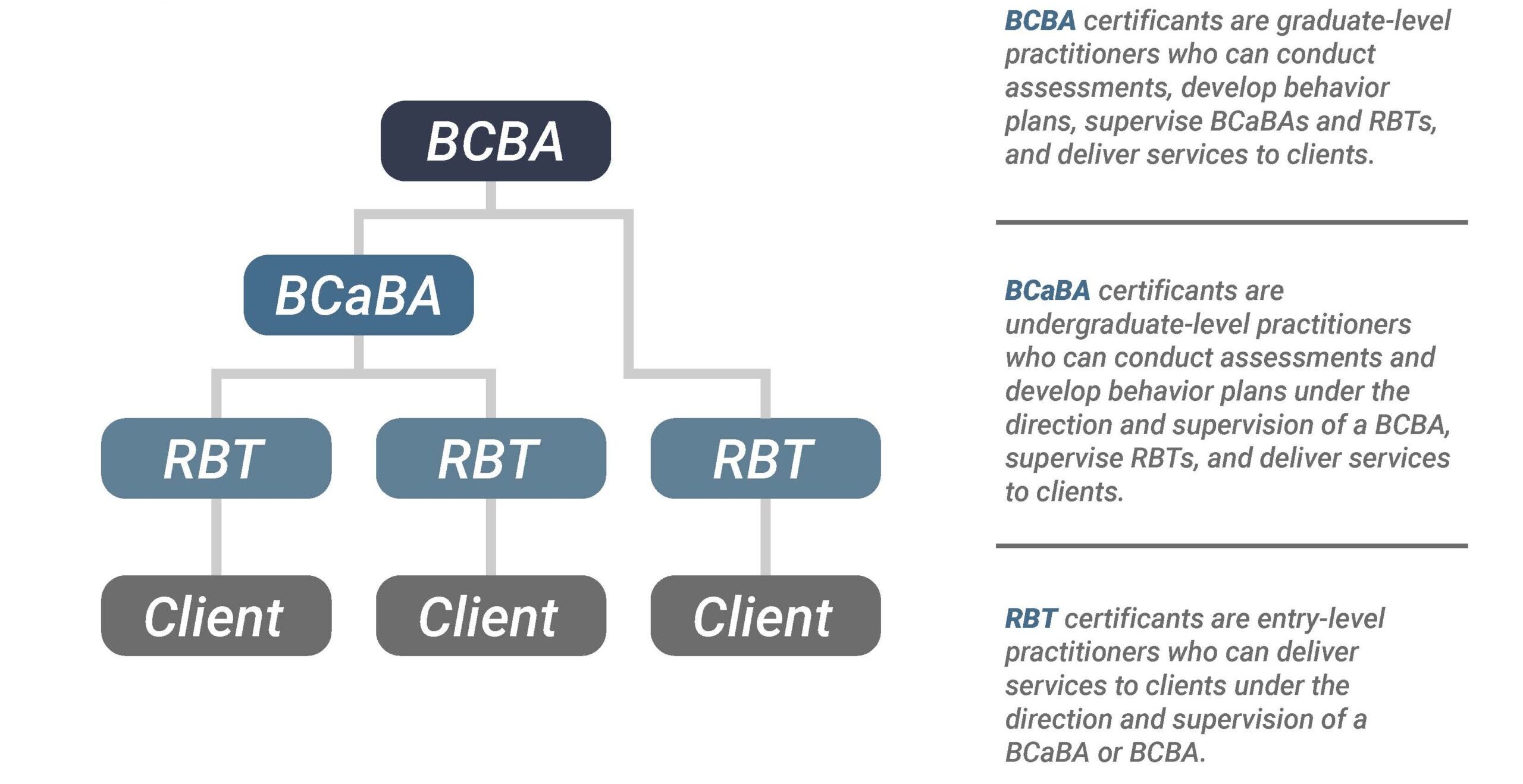Example Certificant Organizational Chart infographic