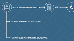 Overview of BCaBA Requirements card thumbnail