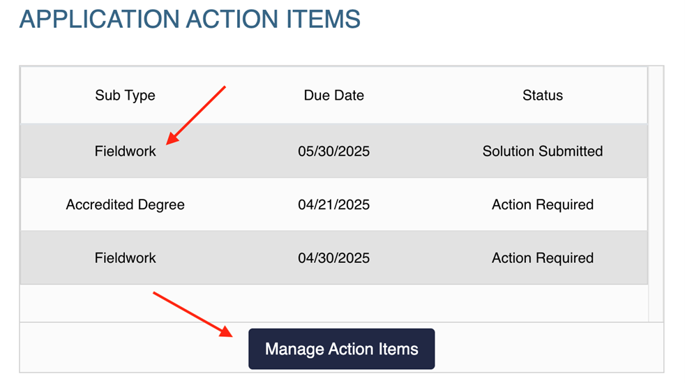 Application Action Items table with an action item and the Manage Action Items button indicated.